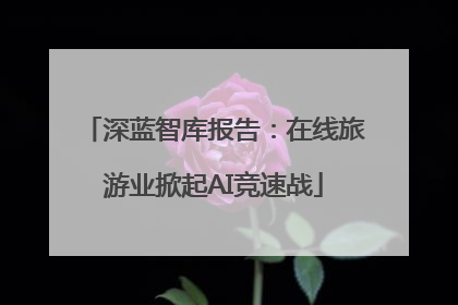 深蓝智库报告：在线旅游业掀起AI竞速战